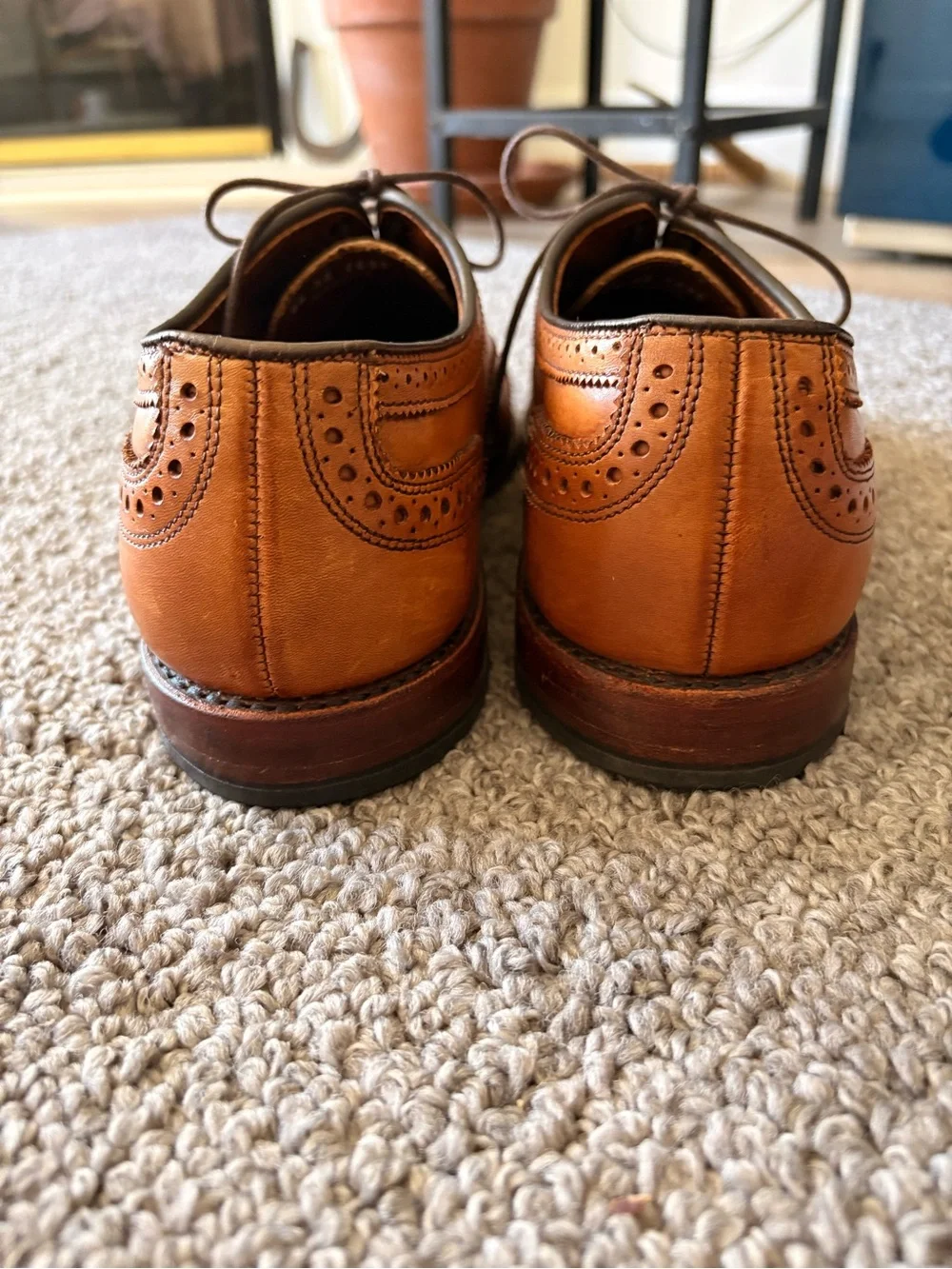 Allen Edmonds classic wingtip